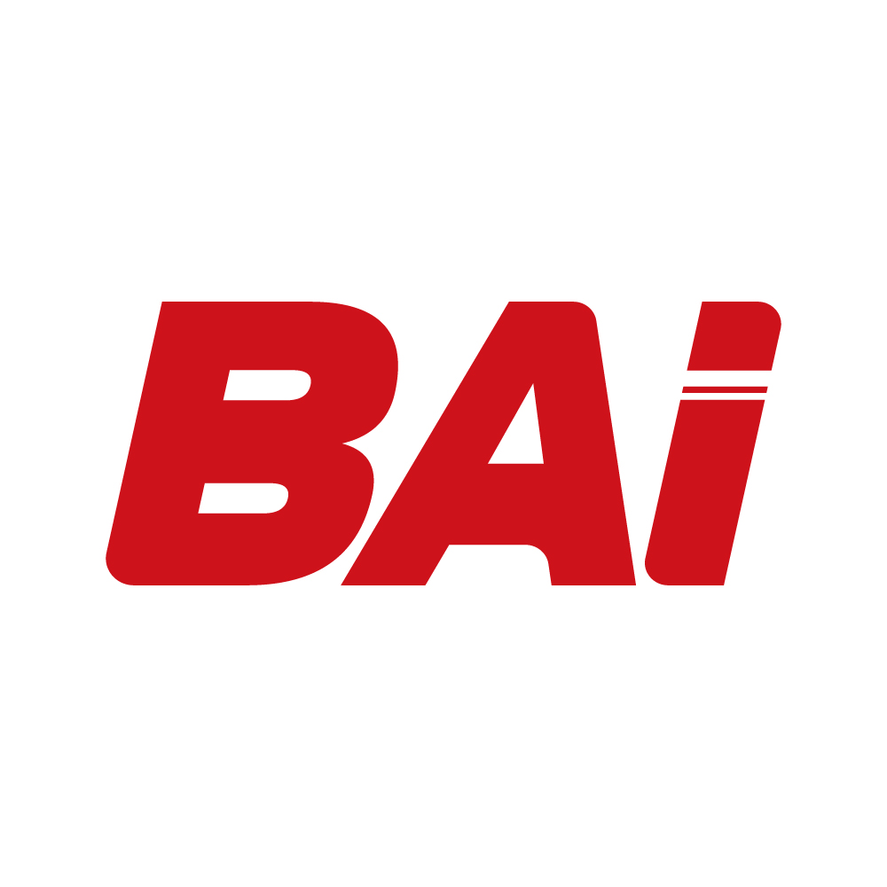 BAI-Mighty Hoop – Richword